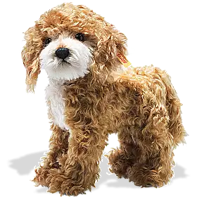 Steiff Ricky Cockapoo