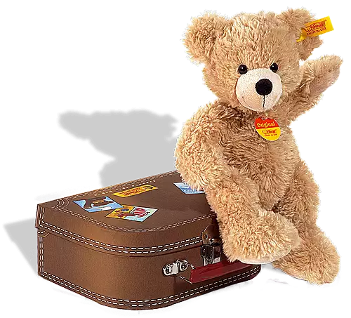 Steiff Fynn Teddy Bear in Suitcase