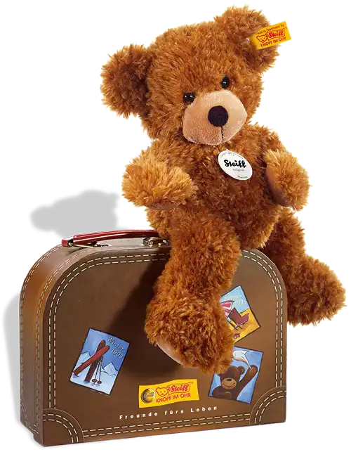 Hannes Teddy Bear in Suitcase