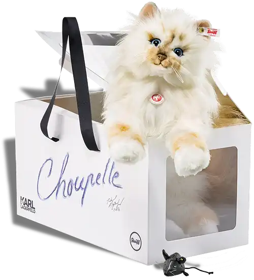 Birman Choupette Cat Loved by Famous Designer KARL LAGERFELD!