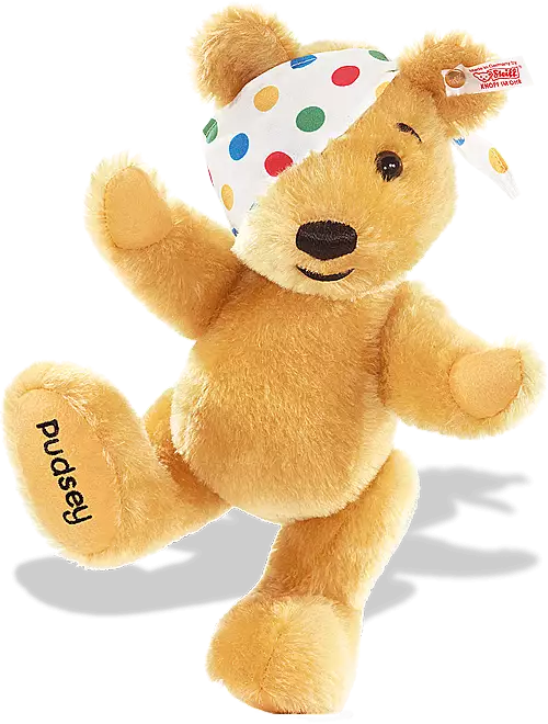 Steiff Pudsey Collectors Bear - we all love Pudsey!