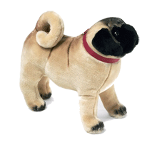 click to see Steiff  Pug in detail