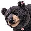 steiff bear 006289